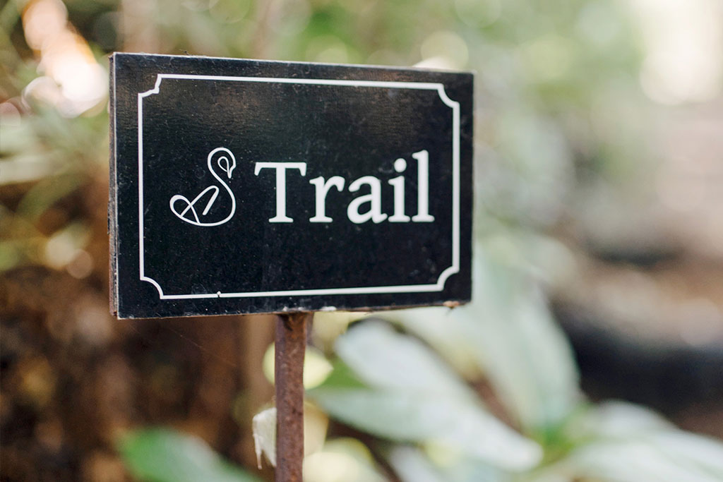 11-a-Swan-Trail