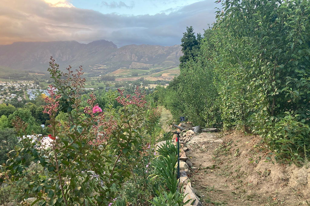 14b-Swan-trail